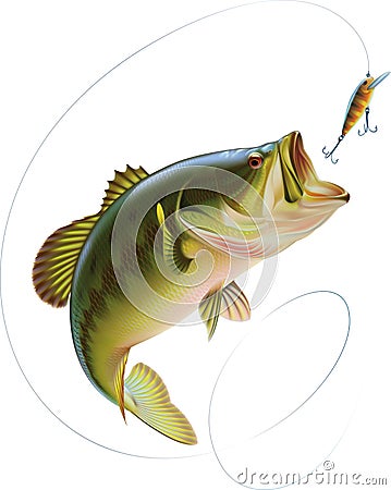 Largemouth Bass Cartoon Illustration