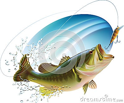 Largemouth bass catching a bite Vector Illustration