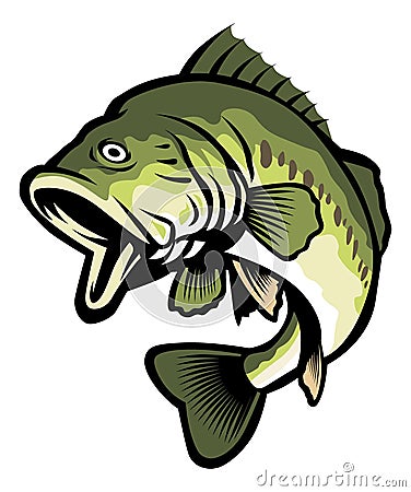 Largemouth bass Vector Illustration