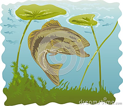 Largemouth bass with water lilies Vector Illustration