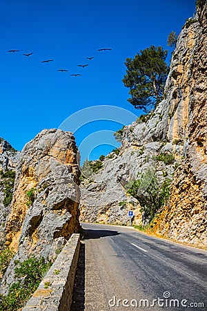 The migrating cranes over mountain road Stock Photo