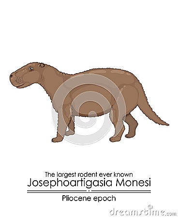 The largest rodent ever known Vector Illustration