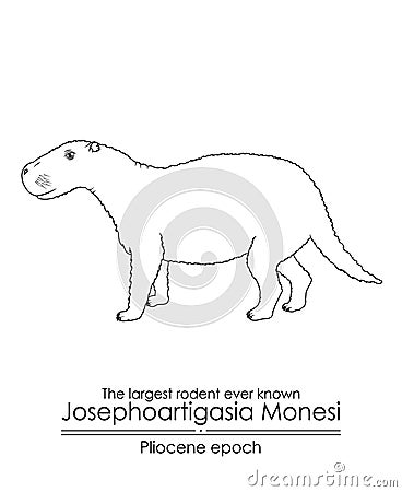 The largest rodent ever known Josephoartigasia Monesi Vector Illustration