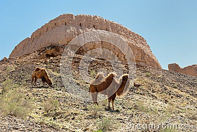 The largest ruins castles of ancient Khorezm â€“ Ayaz - Kala, Uzbekistan Stock Photo