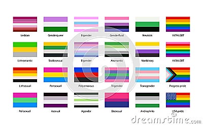 Largest set of sexual identity pride LGBT flags with texture isolated on white Vector Illustration