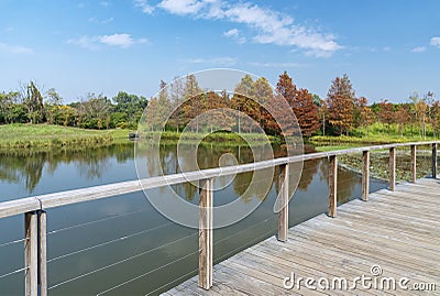 Scenery of wooden trail in Hong Kong wetland park Stock Photo