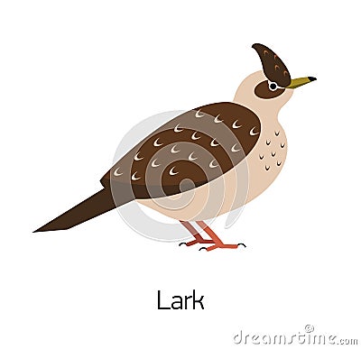 Lark isolated on white background. Beautiful forest passerine bird, adorable woodland songbird. Funny birdie. Avian Vector Illustration