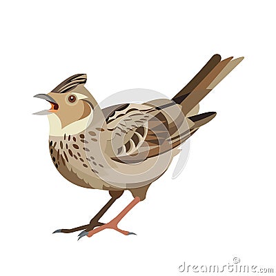 Lark stands on its paws and sings. Isolated vector shape Vector Illustration