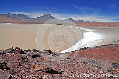 Lascar Volcano, Atacama Chile Stock Photo