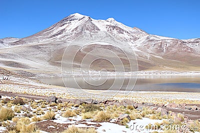 Lascar Volcano Stock Photo