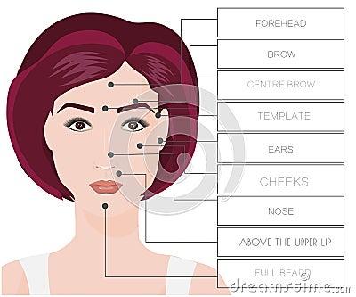 Laser hair removal female. Area Face depilation woman. IPL procedure Vector Illustration