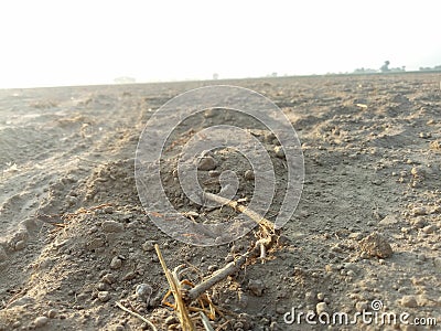 Laser land levelling: A Levelled Piece Of Soil Stock Photo