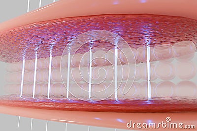 Laser shot through skin layer to collagen for Saggy skin and Facial treatment. Stock Photo