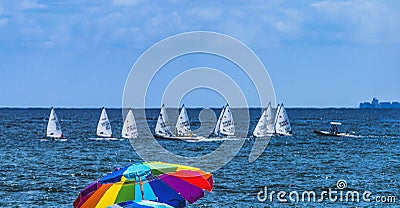 Laser Small Sailboat Racing Blue Ocean Fort Lauderdale Beach Florida Editorial Stock Photo