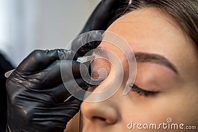 lashmaker makes a beautiful eyebrow contour with tweezers. female face close-up. Stock Photo