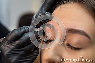 lashmaker makes a beautiful eyebrow contour with tweezers. female face close-up. Stock Photo