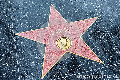 Lassie star on the Hollywood Walk of Fame Editorial Stock Photo