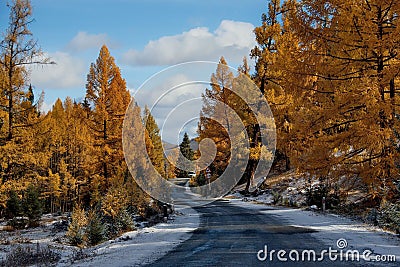 Last autumn in the Altai Mountains Stock Photo
