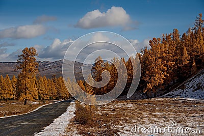 Last autumn in the Altai Mountains Stock Photo