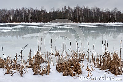 Last ice.The end of winter,the beginning of spring.Landscape with melting ice and reeds at the shore in early spring or late winte Stock Photo