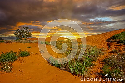 Last rays of sun over the horizon during sunset at the Perry Sandhills Stock Photo