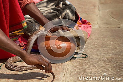 Last snake Charmer (Bede) from Benares Stock Photo