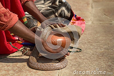 Last snake Charmer (Bede) from Benares Stock Photo