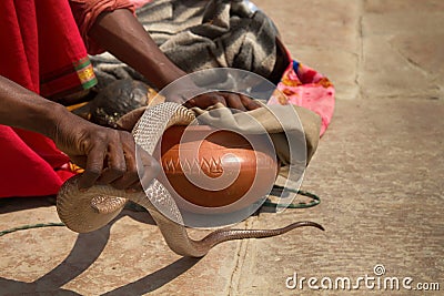 Last snake Charmer (Bede) from Benares Stock Photo