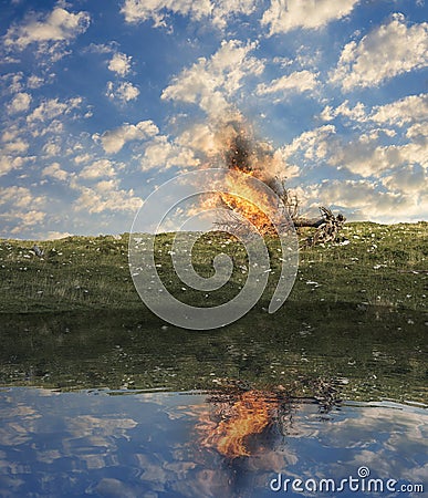 Last tree on fire Stock Photo