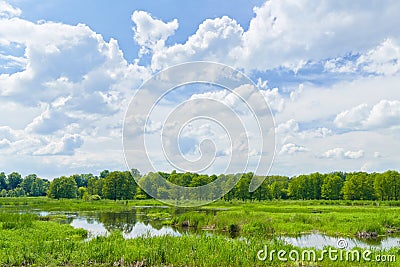The last wild places. Flood waters of Narew river. Stock Photo