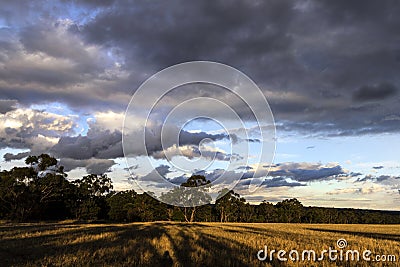 Late afternoon light landscape in farmland near Moe Stock Photo