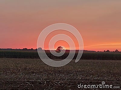 Late August sunset Stock Photo