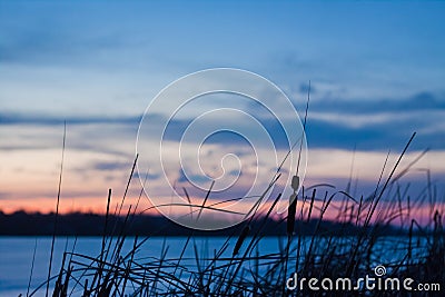 Dusk winter landscape, frozen lake, bulrush, blue and pink sky, deep blue clouds, winter, nature panorama background photo Stock Photo