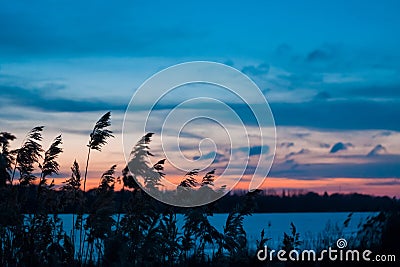 Late evening winter landscape, frozen lake, bulrush, blue and pink sky, deep blue clouds, winter nature panorama background photo Stock Photo