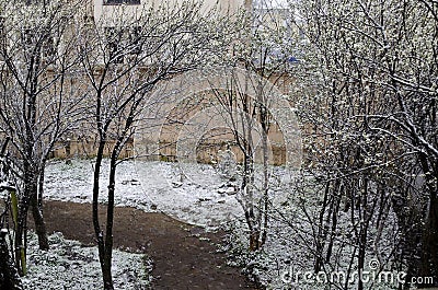 A late, heavy snowfall on the fallen tree branches Stock Photo