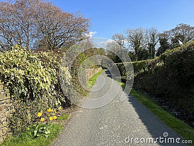 Rural scene, along Low Lane, Cowling, UK Stock Photo