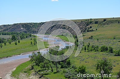 Spring in the North Dakota Badlands: Buffalo in Beef Corral Wash on the Little Missouri River in Theodore Roosevelt National Park Stock Photo