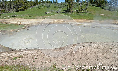 Late Spring in Yellowstone National Park: Churning Caldron Muddy Pool in the Mud Volcano Area Along the Grand Loop Road Stock Photo