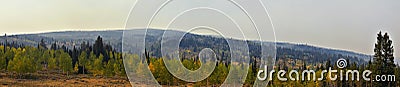 Late Summer early Fall panorama forest views hiking, biking, horseback trails through trees along Highway 40 near Daniels Summit b Stock Photo