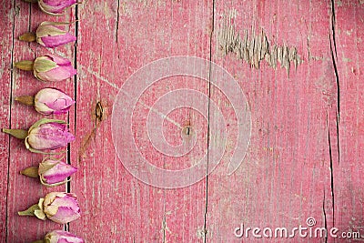 Lateral border of pink dried roses Stock Photo