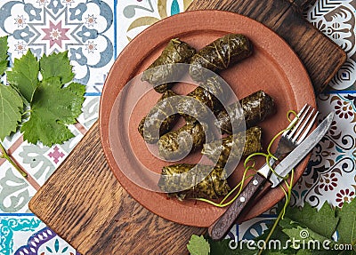 Latin American Mexican Chilean cuisine. Ninos envueltos. Grape leaves stuffed wish meat on clay plate Stock Photo
