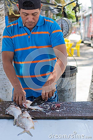 Fisherman Selling Fishes In A Local Market Stock Photo