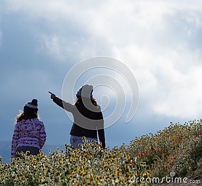 Latina Mother and Daughter walking in desert California Poppy field on path Editorial Stock Photo