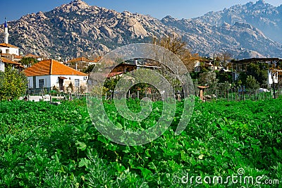 Latmos Besparmak Mountain and the village of KapÄ±kÄ±rÄ± among the ruins of Heracleia. Milas, Aydin, Turkey Stock Photo