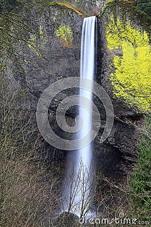 Latourell Falls Stock Photo