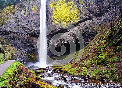 Latourell Falls Stock Photo