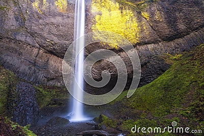 Latourell Falls in the Columbia River Gorge Stock Photo