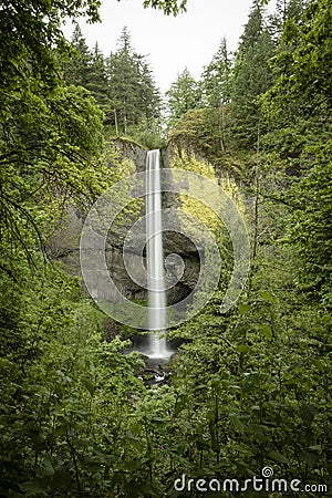 Latourell Falls, Columbia River Gorge, Oregon Stock Photo