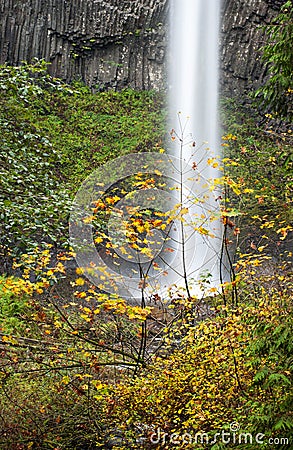 Latourell Falls, Columbia River Gorge, Oregon Stock Photo