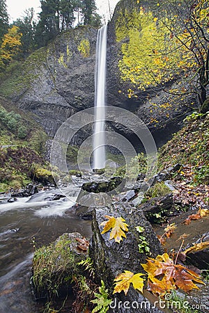 Latourell Falls Oregon in Autumn Stock Photo